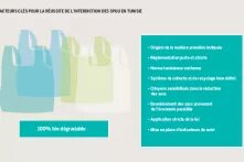 Facteurs clés pour la réussite de l'interdiction des SPUU en Tunisie