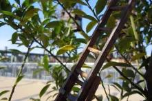 Changement d'echelle