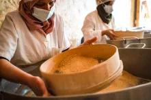 Des employées de la Coopérative Lella Kmar trient les graines de blé dur mahmoudi.