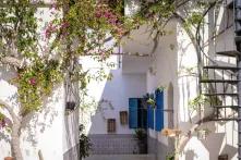 À Dar Emmima, Elyes fait vivre la permaculture en partageant son foyer et sa nourriture avec ses élèves. 