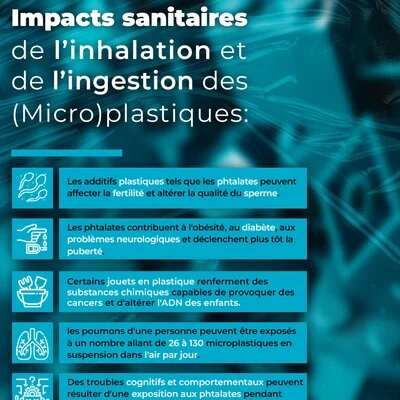 Impacts sanitaires de l'inhalation et de l'ingestion des micro-plastiques Impacts sanitaires de l'inhalation et de l'ingestion des micro-plastiques