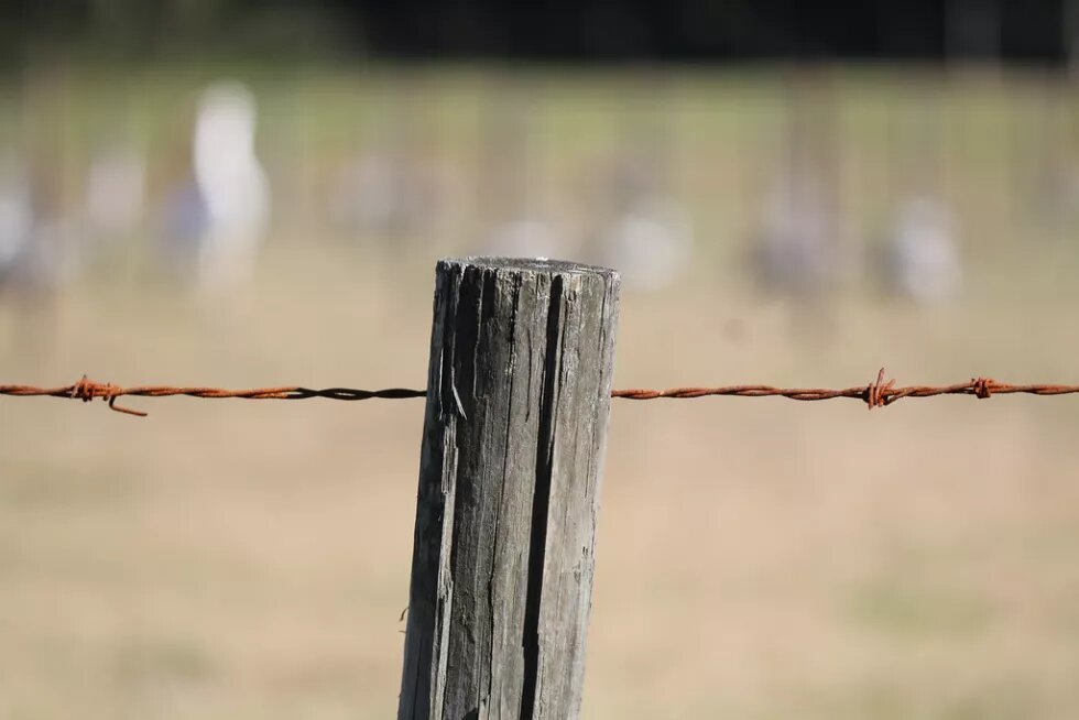 Un grand plan sur une clôture où est tendu un fil barbelé