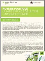 Policy Brief Taxe Carbone